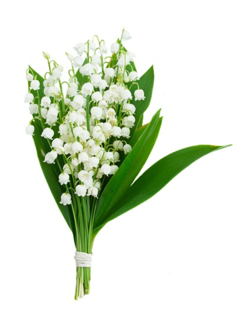 wedding flowers bouquets